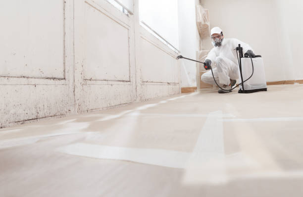 24/7 Emergency Basement Mold Remediation experts in Hanover, MD