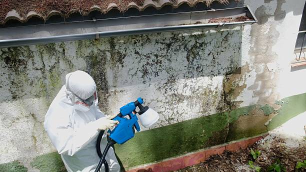 Trusted Mold Remediation service in Hanover, MD - Cheap Mold Removal